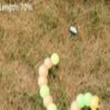 Download Snake touch Cell Phone Game